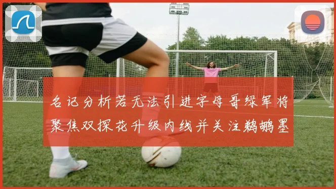 名记分析若无法引进字母哥绿军将聚焦双探花升级内线并关注鹈鹕墨菲