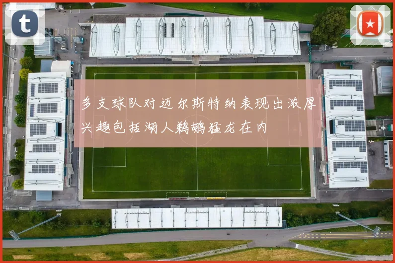 多支球队对迈尔斯特纳表现出浓厚兴趣包括湖人鹈鹕猛龙在内